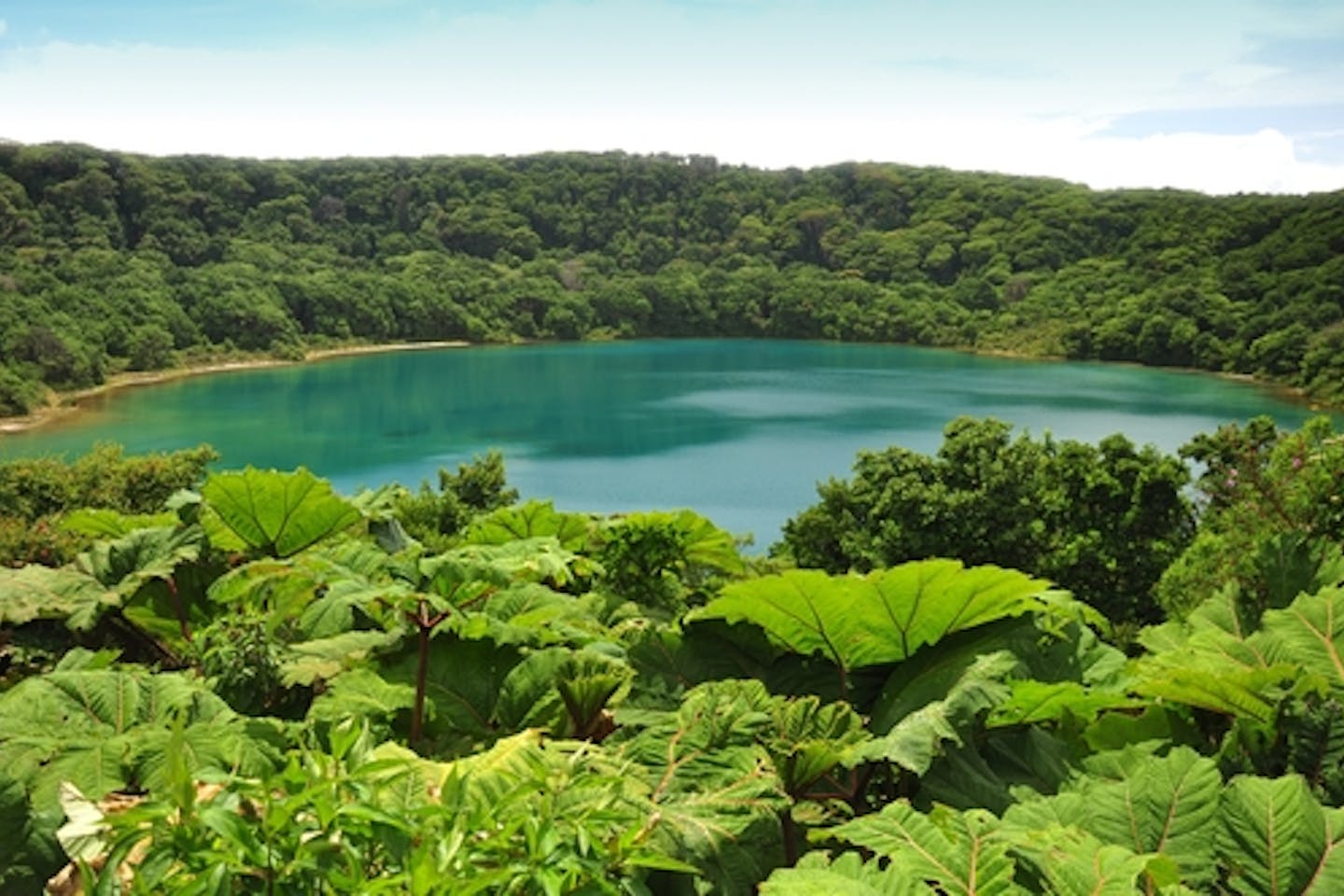 Costa Rica forest cover