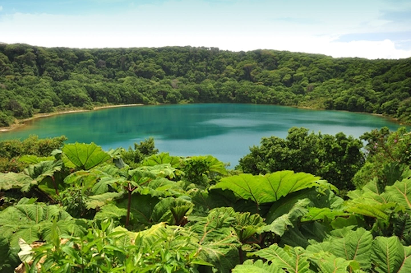 Role of Marine Ecosystems and Mangroves