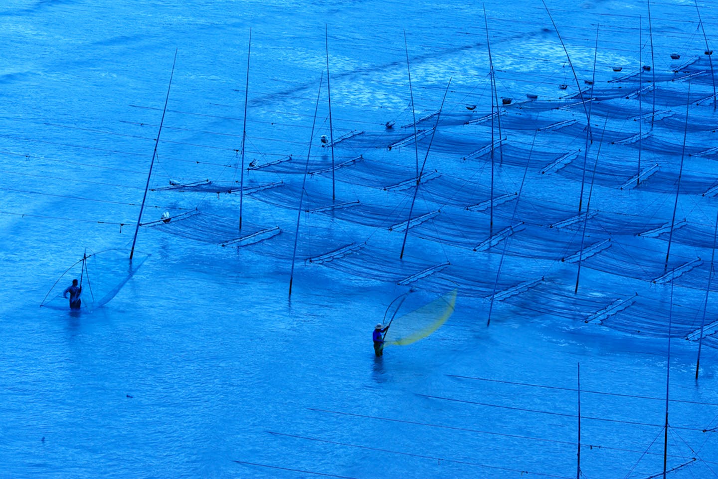 seaweed farming cn