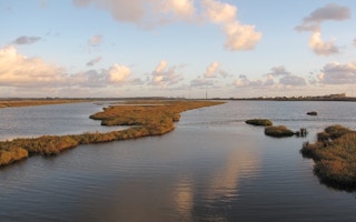 Coastal wetlands in the US