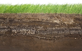 soil study carbon