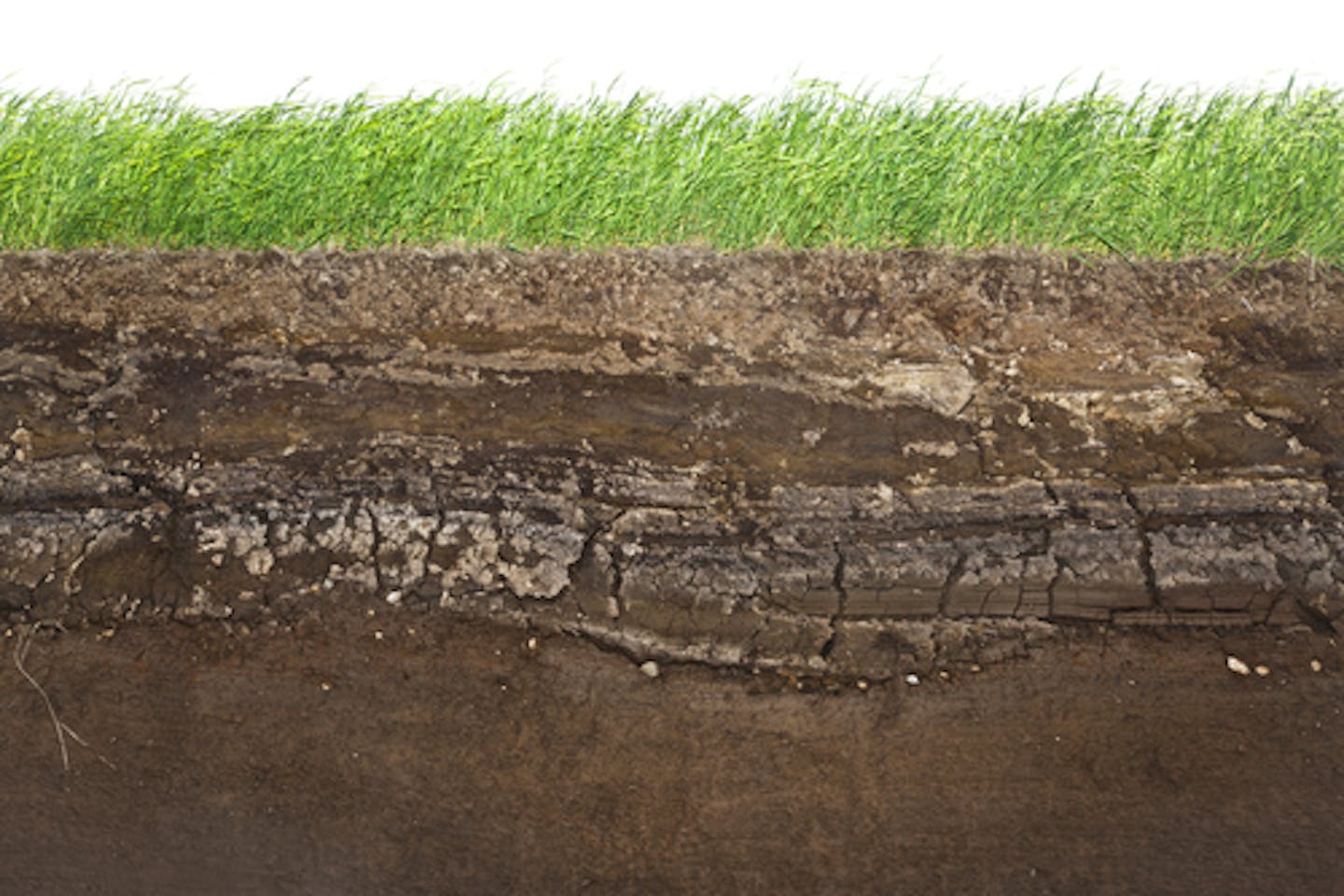 soil study carbon