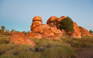oz outback vegetation