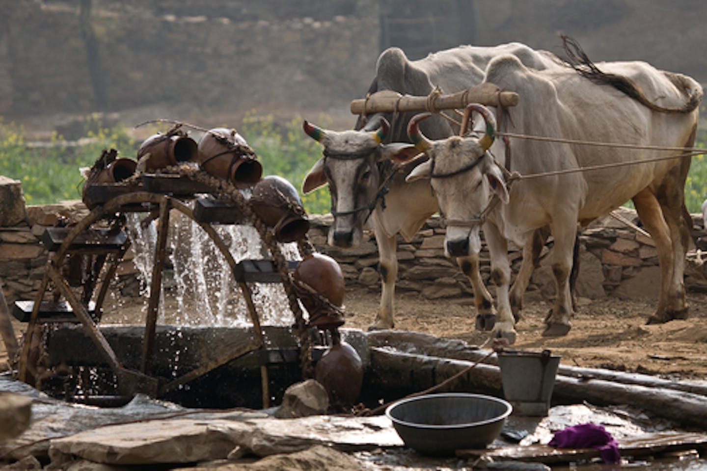 water pump india