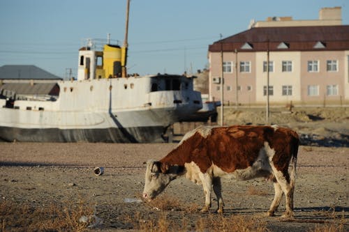 aral sea dry