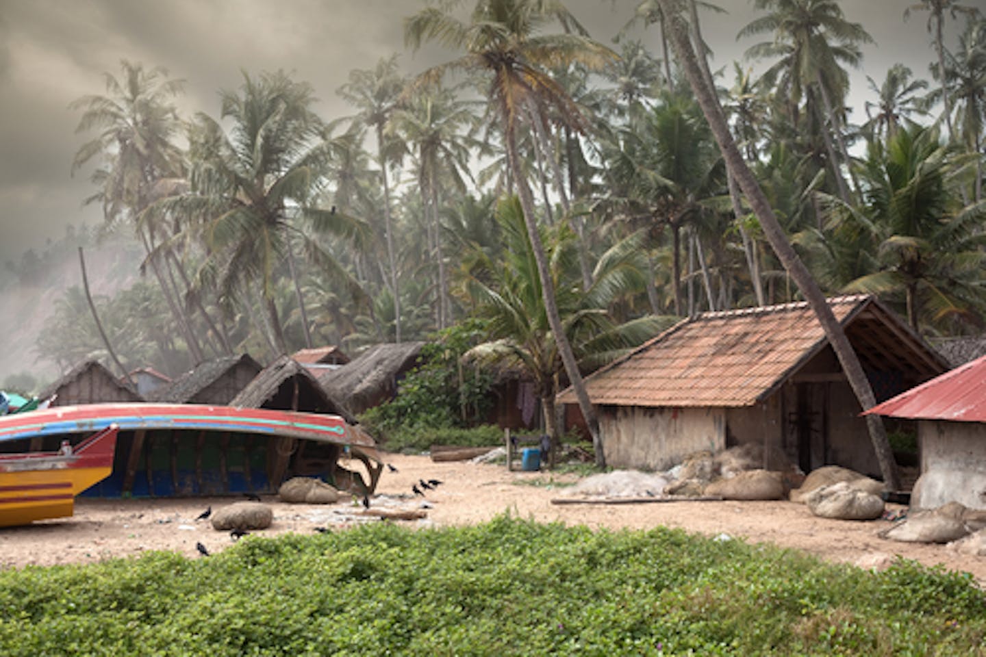 Monsoon in India affects food security