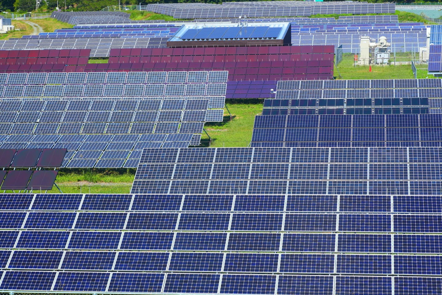 Future Grows Darker For Solar Energy Growth In Japan News Eco Business Asia Pacific 