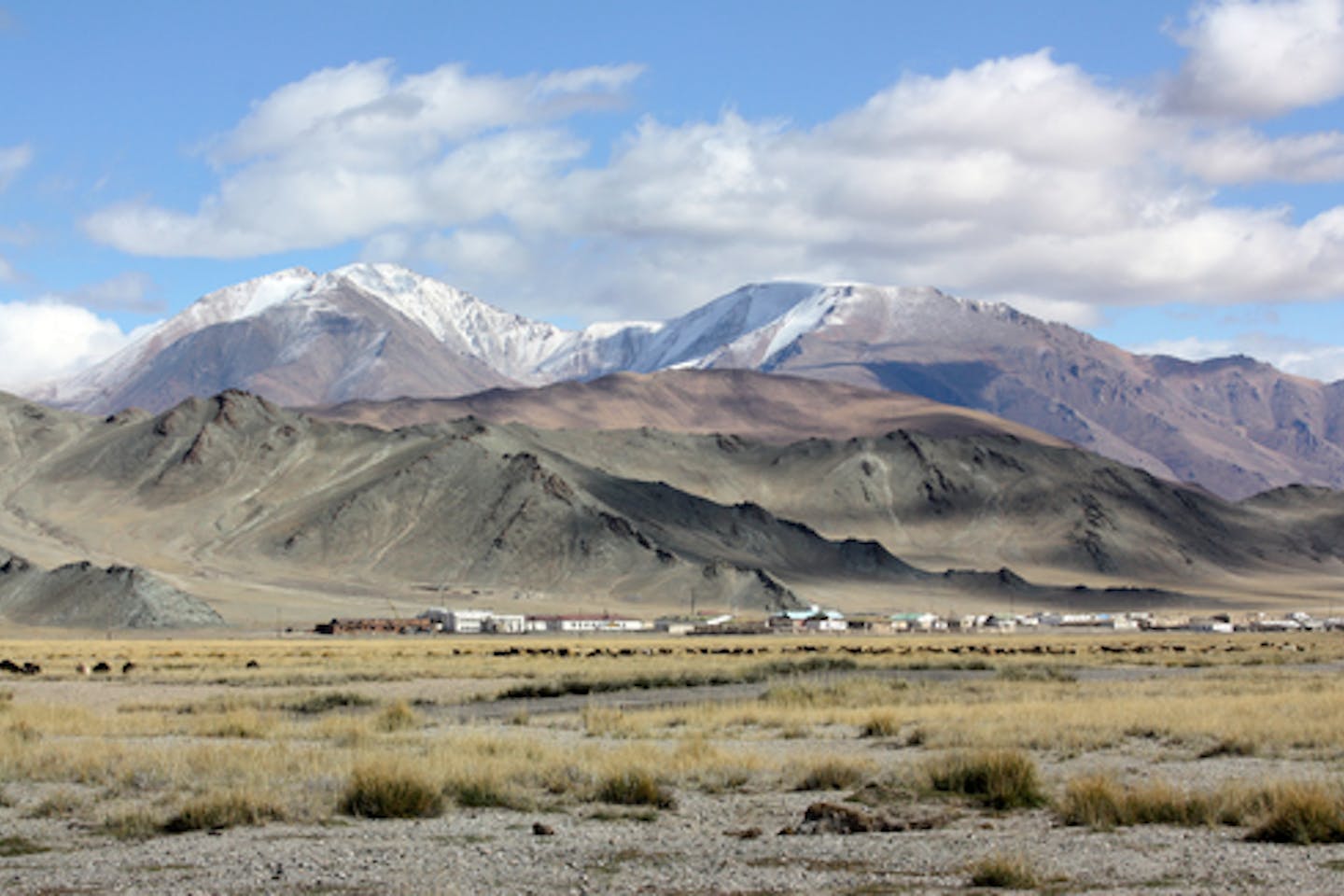 mongolia grassland