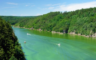 blue green algae river