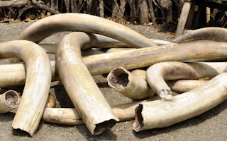 ivory stockpile kenya 