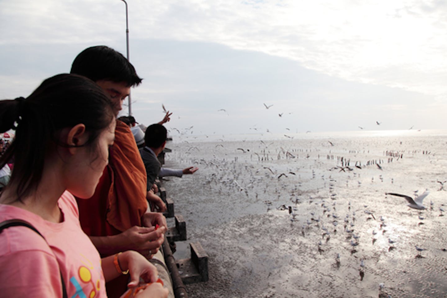 asian bird watching