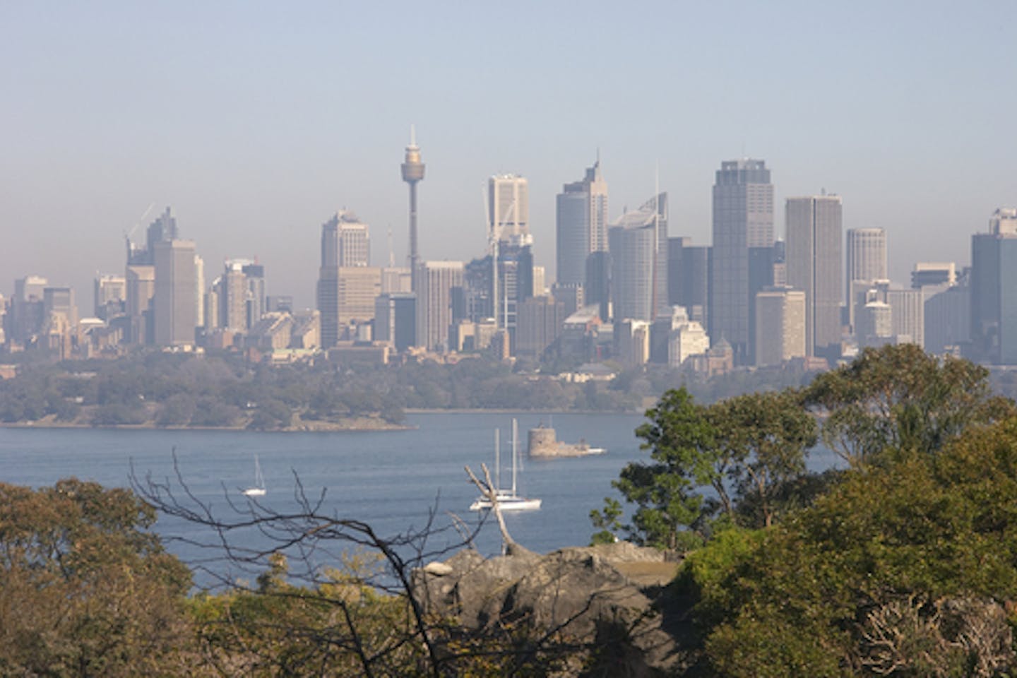smoggy sydney