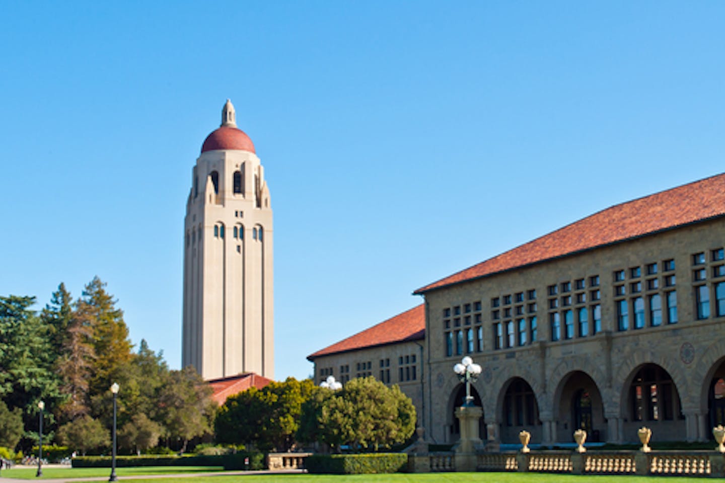 Stanford University