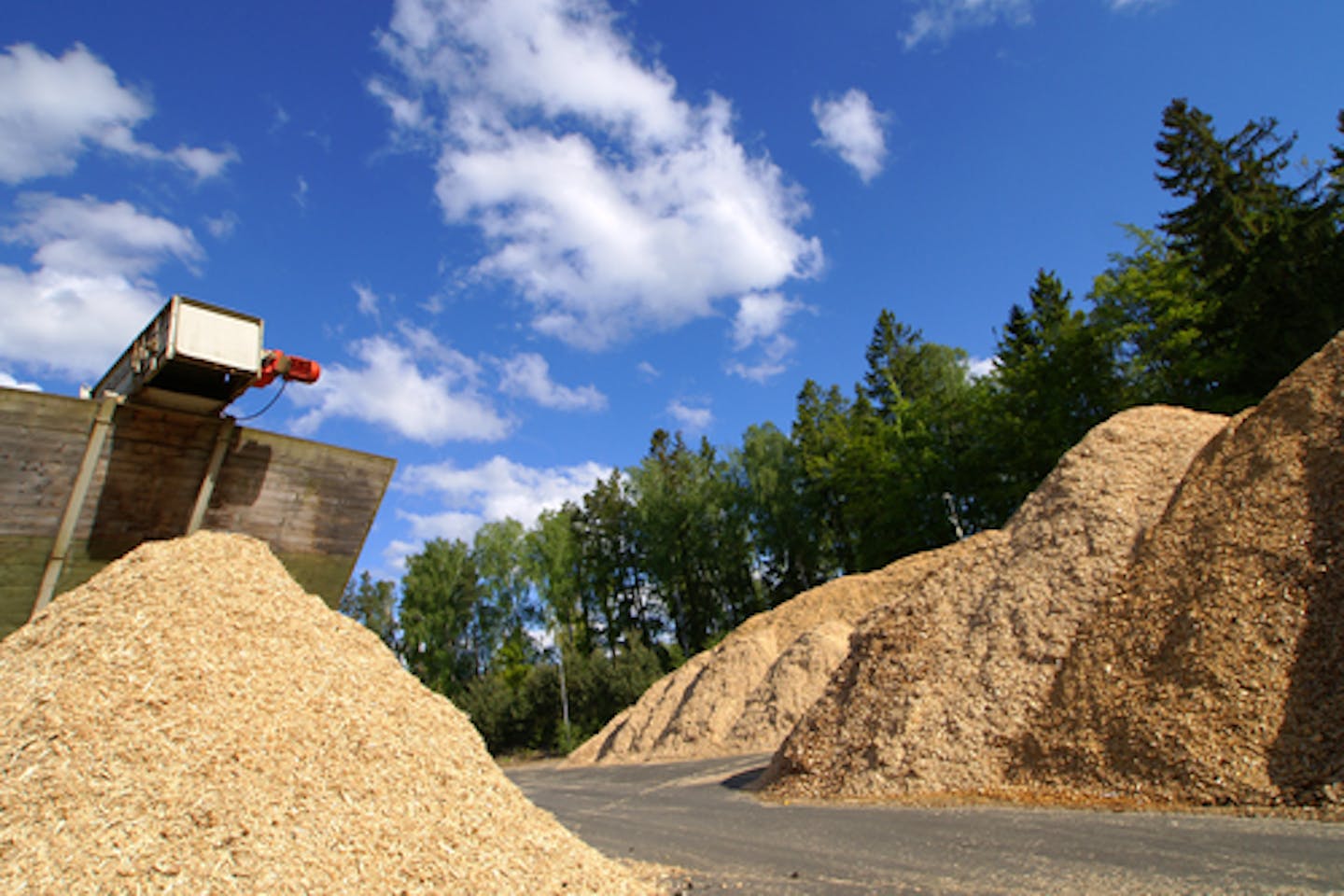 Biomass facility