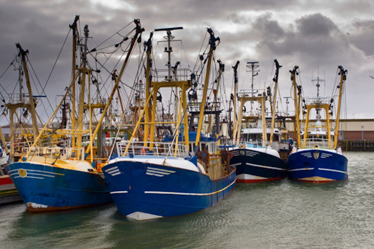 Modern fishing boats