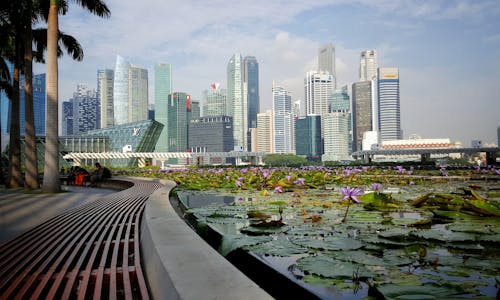 The missing piece in Singapore's green building puzzle