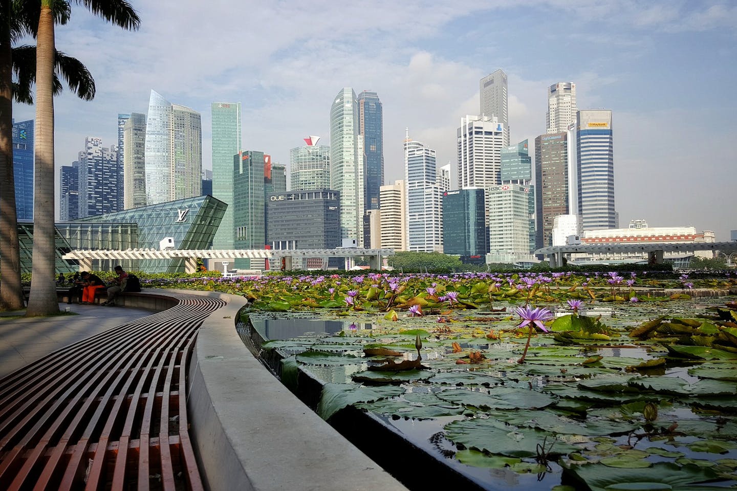 beautiful singapore