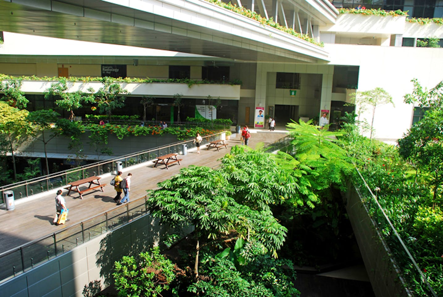 How To Build A Hospital For The People News Eco Business Asia Pacific