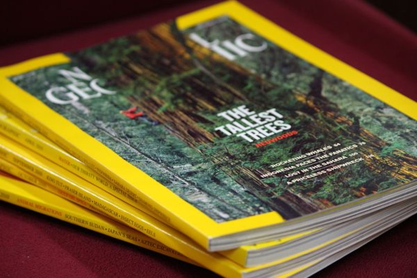 Recycled Paper For Magazines National Geographic Says Yes News Eco Business Asia Pacific Recycled Paper For Magazines National Geographic Says Yes News Eco Business Asia Pacific