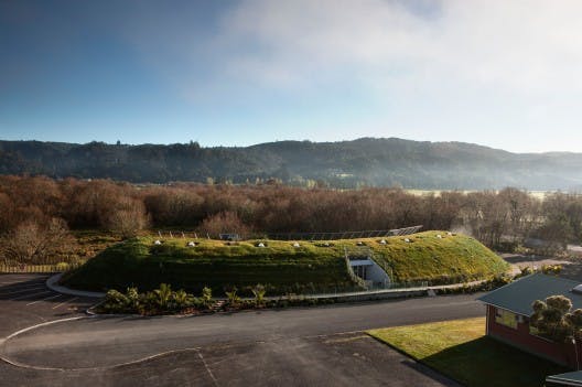 building eco homes new zealand