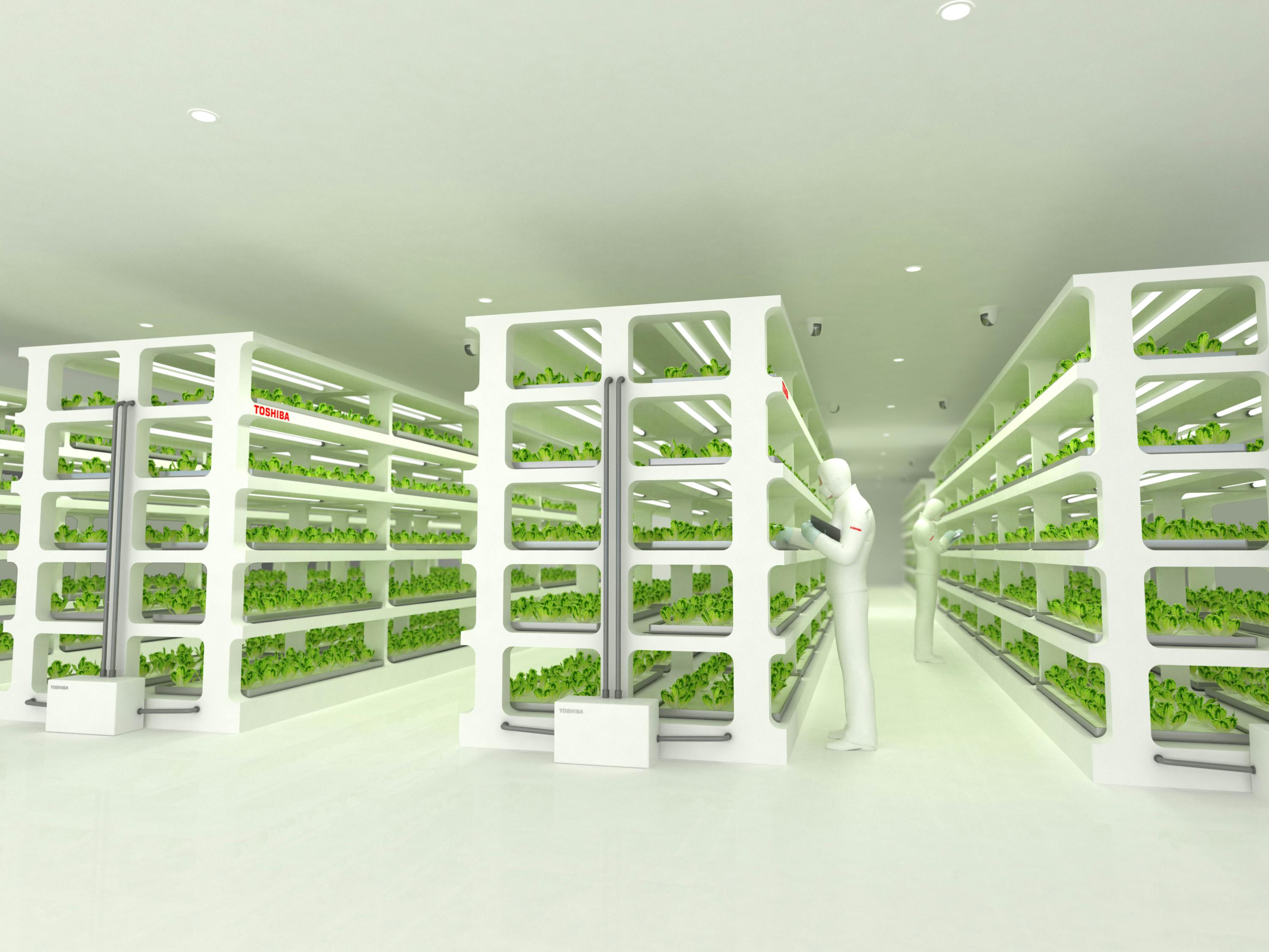 Toshiba veggie factory