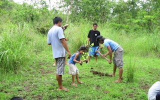 tree planting indonesia
