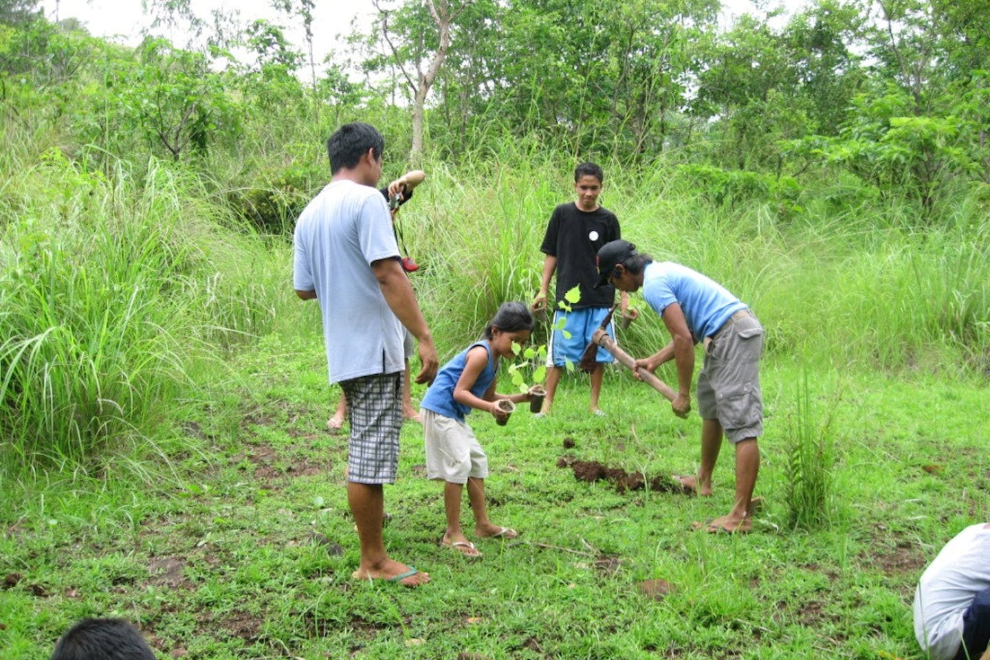 tree planting indonesia