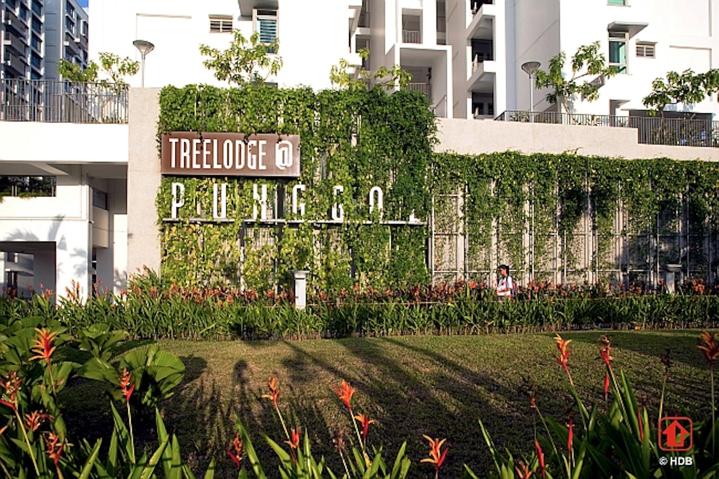 treelodge punggol title