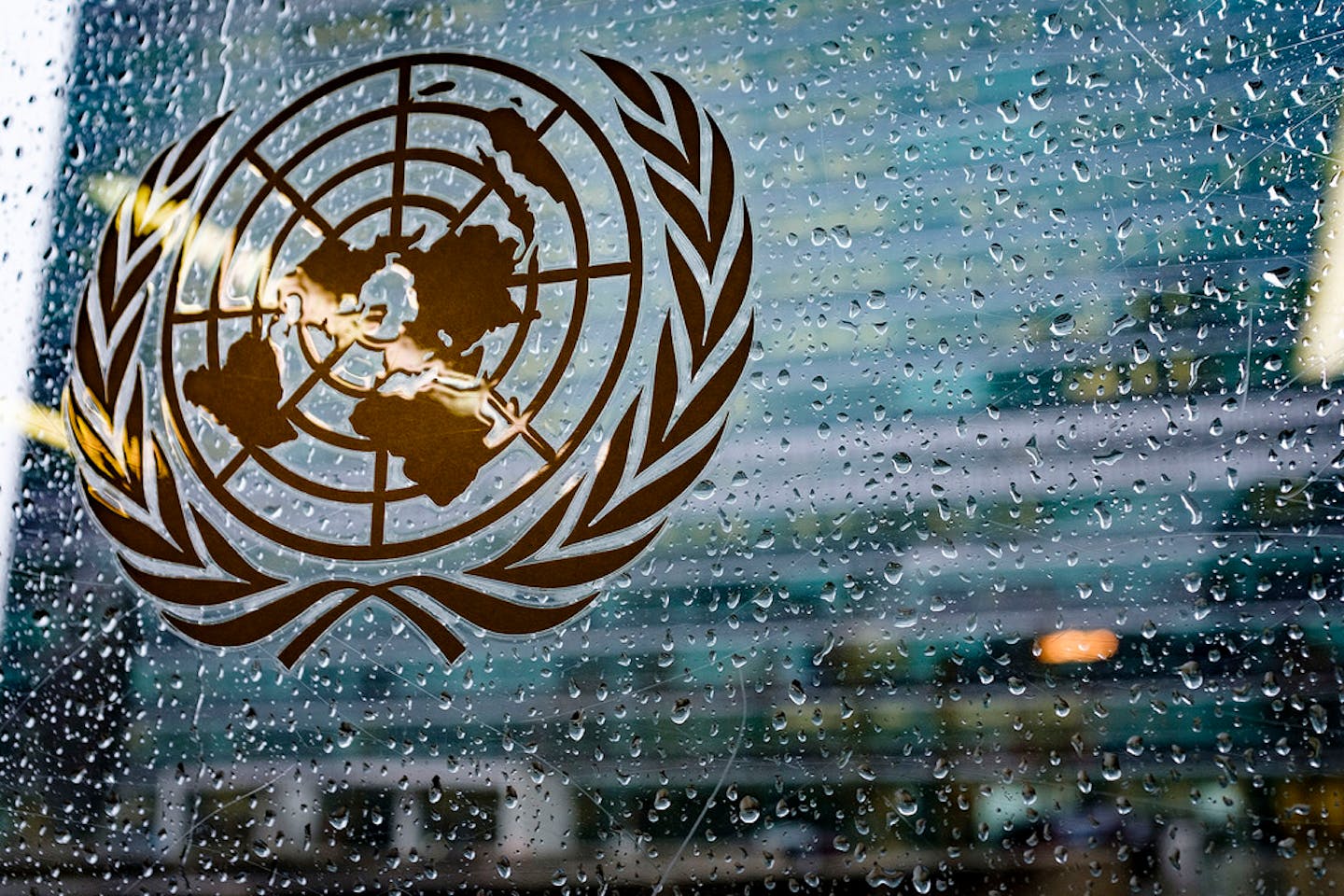 un hq rainy day bonn