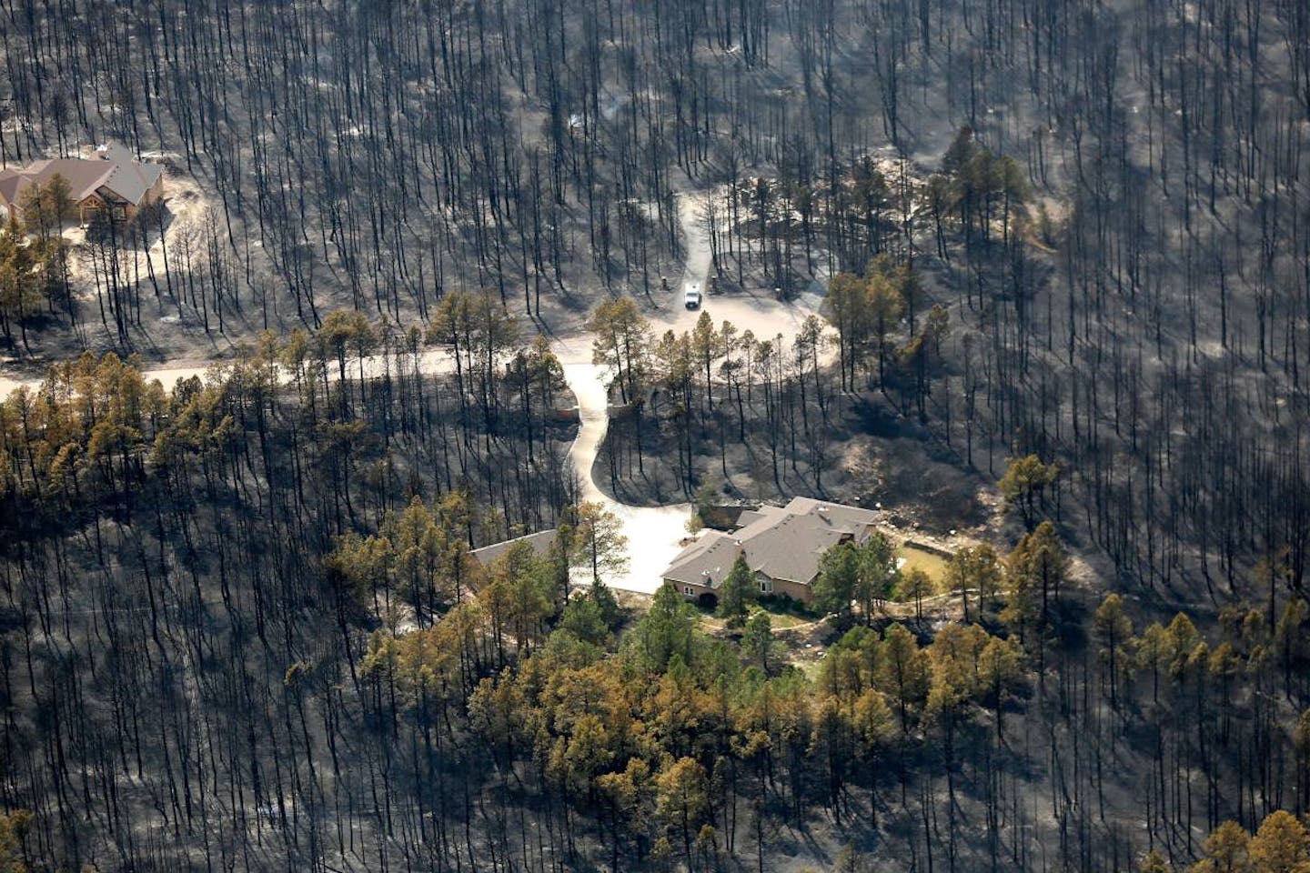 black forest fire