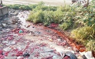 waste dye water in Falgu river