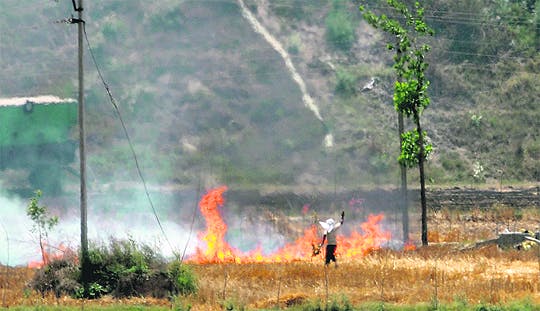 india wheatfield pollution