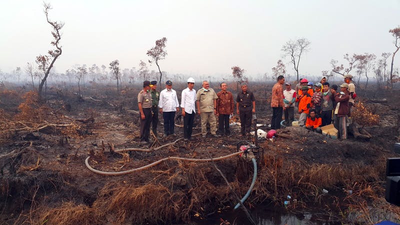 jokowi forest fire