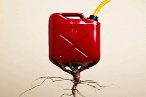 BioFerm photo from World Green