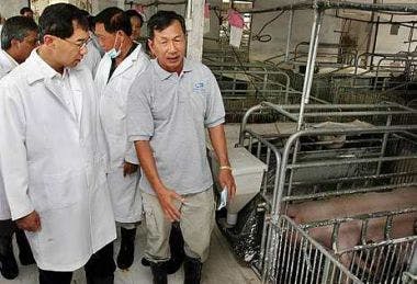 Pig waste to energy Malaysia