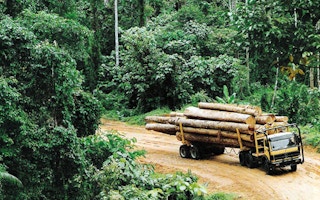 Papua New Guinea Forest Industries Association