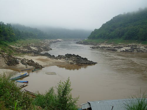 River Mekong plantsave com