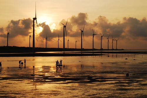 Taiwan wetlands Gaomei eng taiwan net tw
