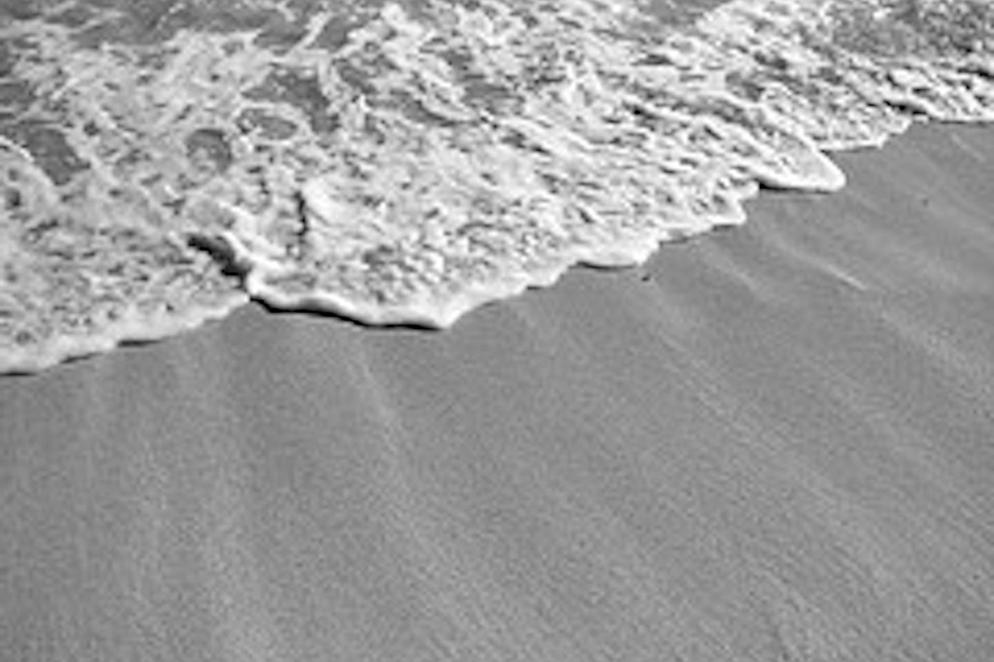 Sylvain surf
