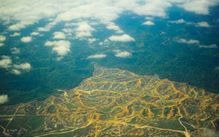 Sarawak timber concessions Global Witness