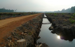 Indonesia deforestation photo
