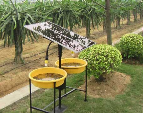 solar powered insect trap