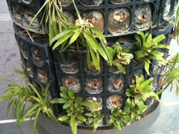 vertical garden  on Singapore's Orchard Road