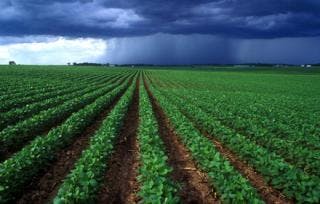 img_4d40803988f29_14187