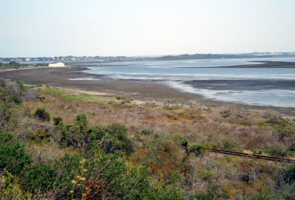dsc01616_tidal_marshes_near_queenscliff