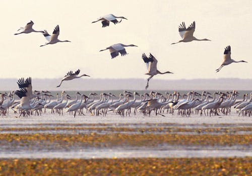 6f30595bbea443abb65651a2f00549a2