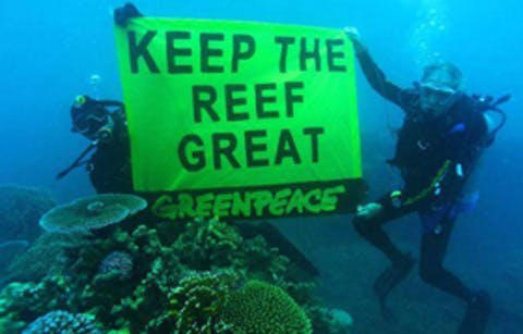 SaveReef