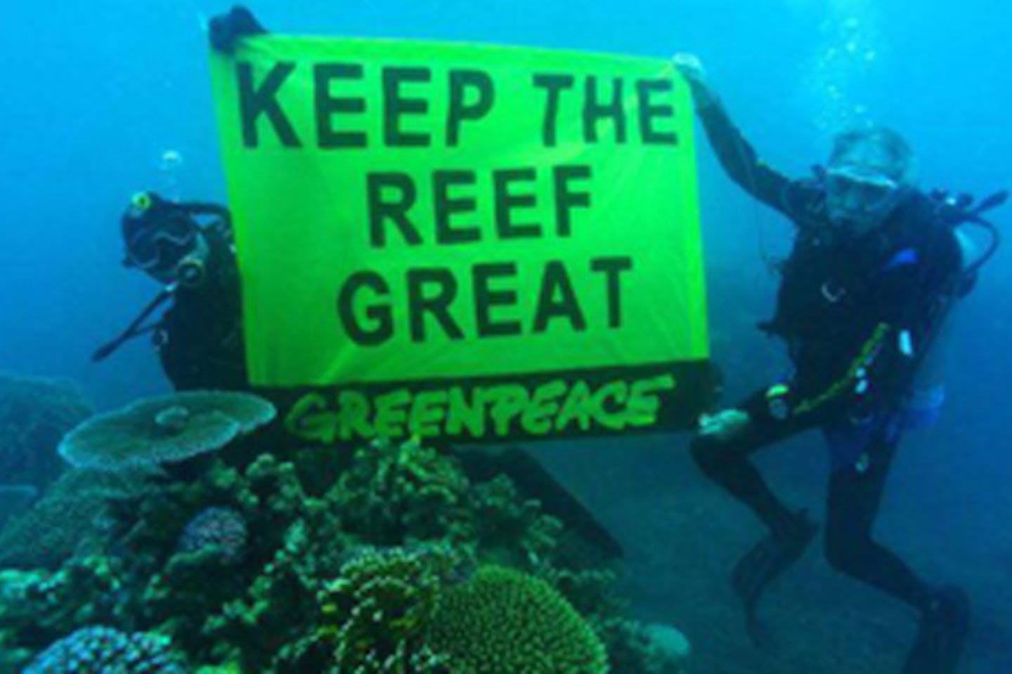 Greenpeace Leads War Against Coal News Eco Business Asia Pacific