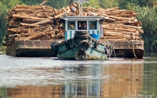 Indonesia illegal logging investigation Greenpeace