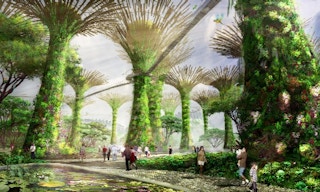 Gardens by the bay supertrees concept